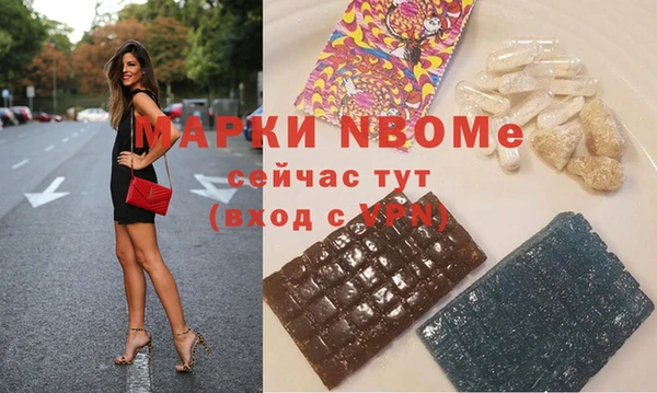 индика Горнозаводск