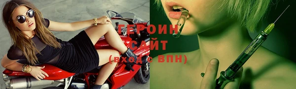 индика Горнозаводск