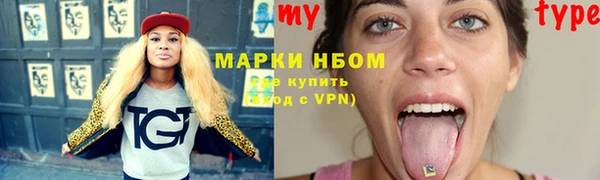 индика Горнозаводск