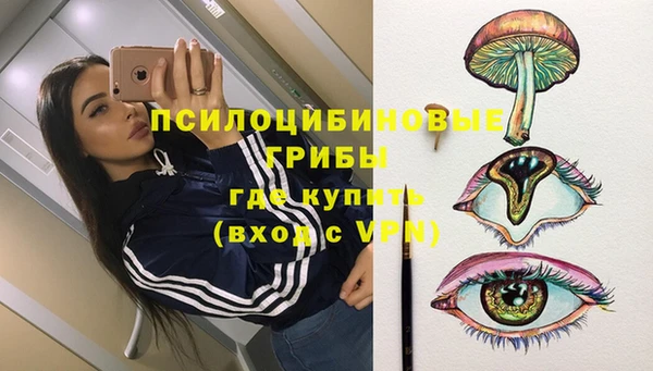 метадон Вяземский